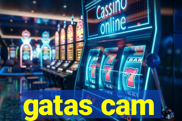 gatas cam